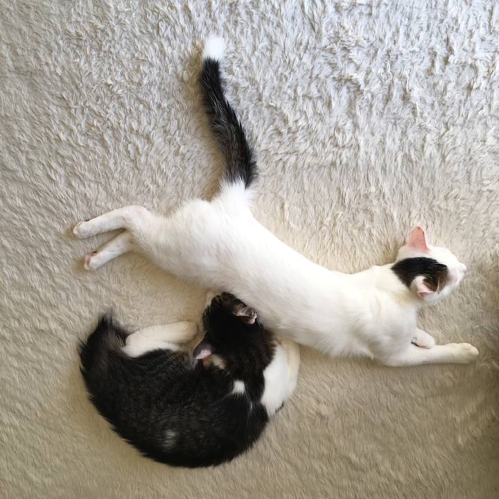 2986aad8 e2af 45da b55e 3b99e62333c7