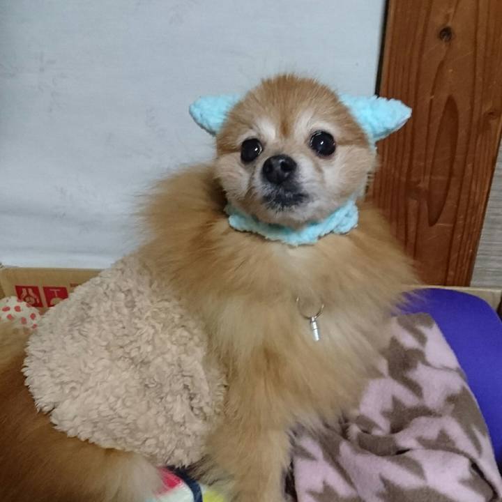 29884675 0fad 4122 ba68 2b9e8f020081