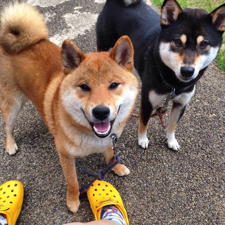 29889f75 2329 4f72 a06c cf7716b7357e