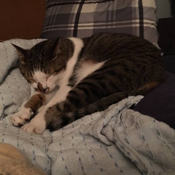 2988d174 0b84 4165 8980 7efaf2e40bf3