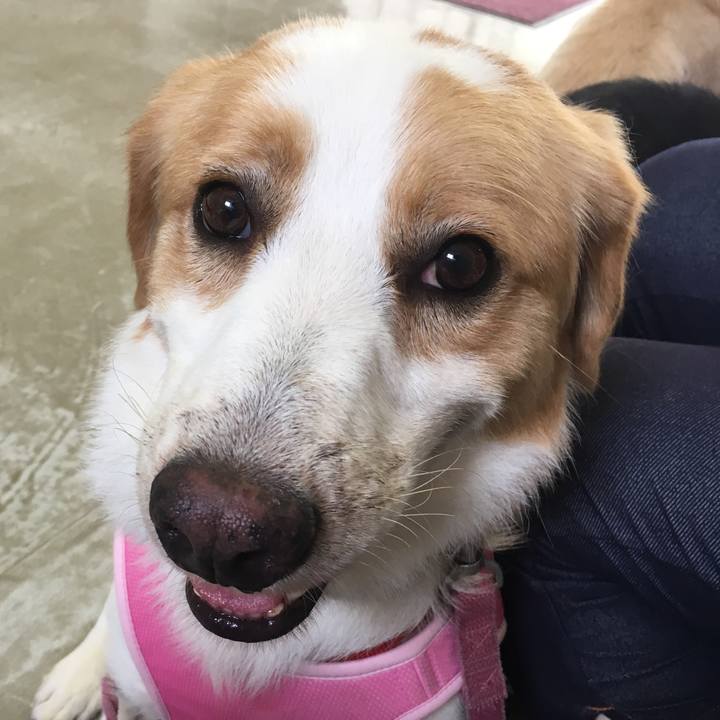 2988e152 ecf8 48e0 ae04 b1d299101ff2