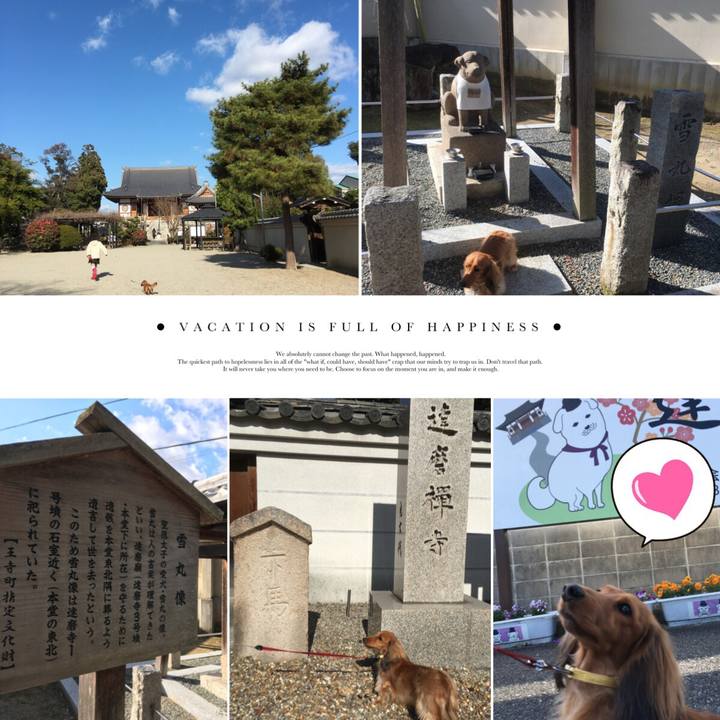 2988f0fe dd67 4ebc aafd 236b0505cb1b