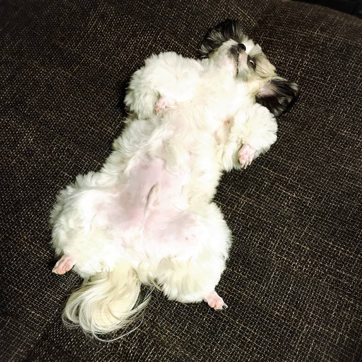 298903e9 3fb2 4fd6 a278 1e28f9c0ac7e