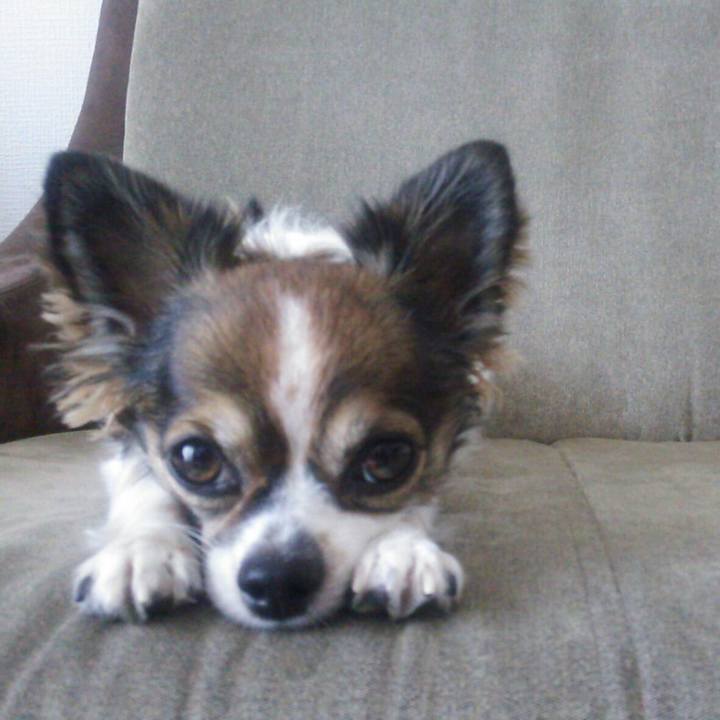 29898c10 3651 4e5a a371 178c95c83672