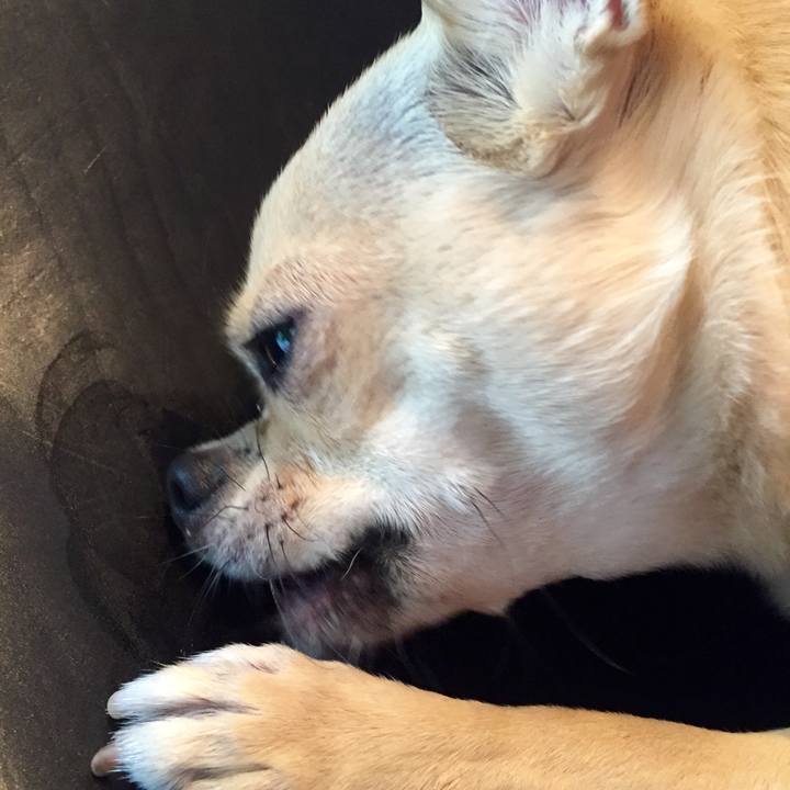 2989bd51 6146 4c51 8418 37c4cfee5d44