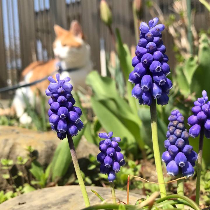 298a0fe3 cec7 4489 9ca5 ab4ff86652af