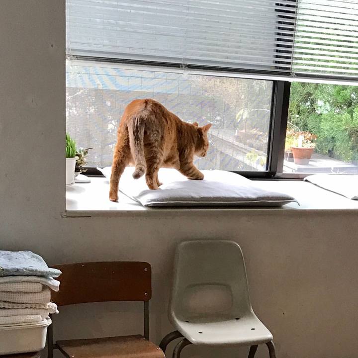 298a8b90 9ea7 415e 8617 94d7857c4596