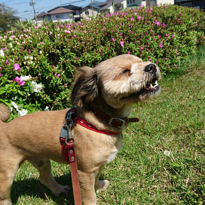 298aef12 61d7 4fbd b1b1 5c7023213195