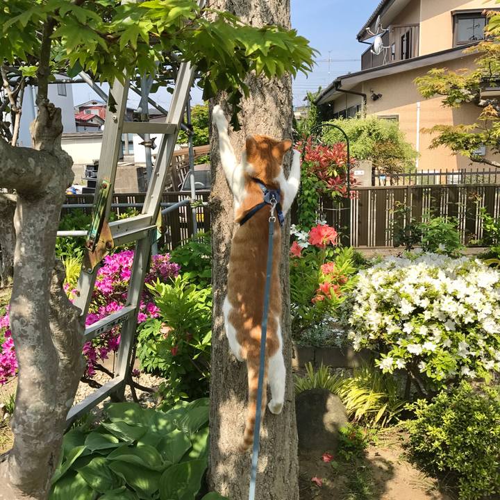 298b3dd7 b9f0 48ff 8be8 c8e6286d22f9