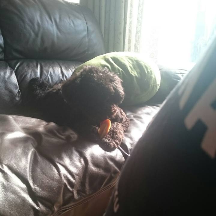 298b9f94 3316 4bec 891f 6f411df9c977