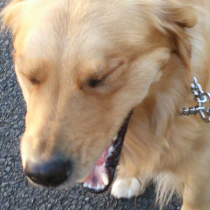 298bfe91 a6e1 4c2a a404 ed314d88fd5e