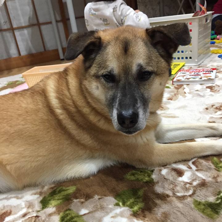 298dc552 a999 4529 afbd c608330c1b7a