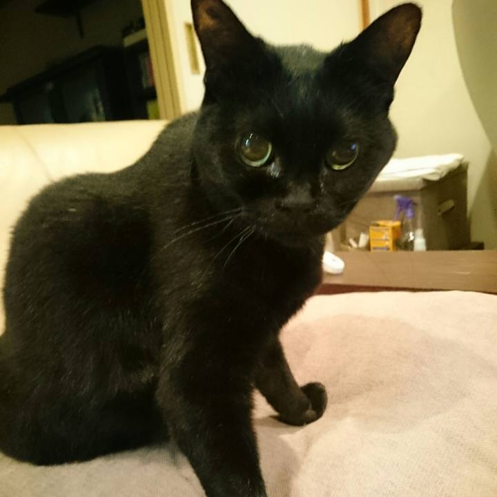 298e9f87 91fe 4ff0 871a 169e9a1758e3