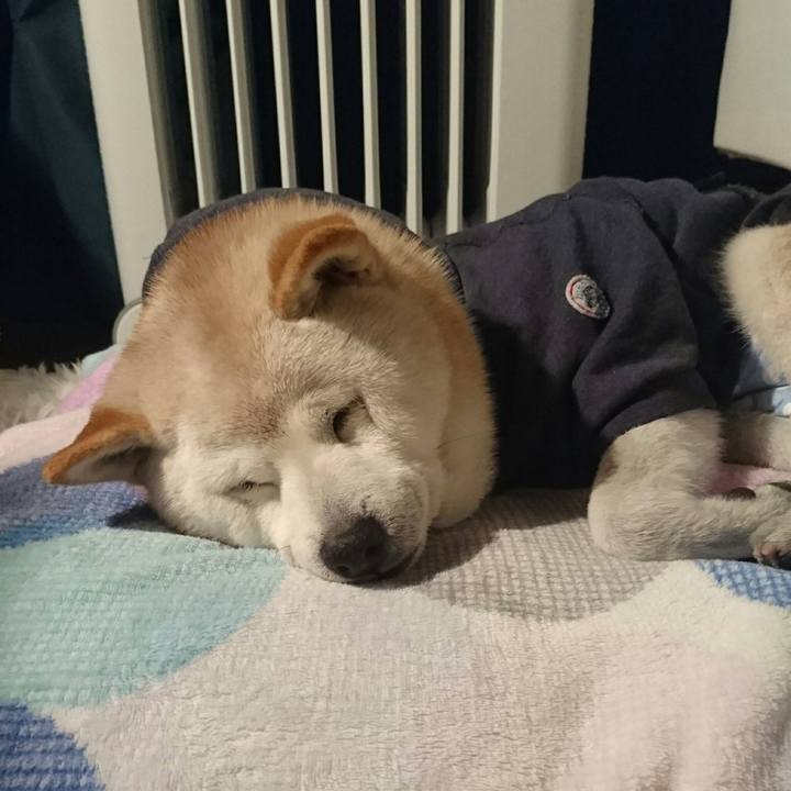 298ebcac fb8b 411d a560 78a9652a2682