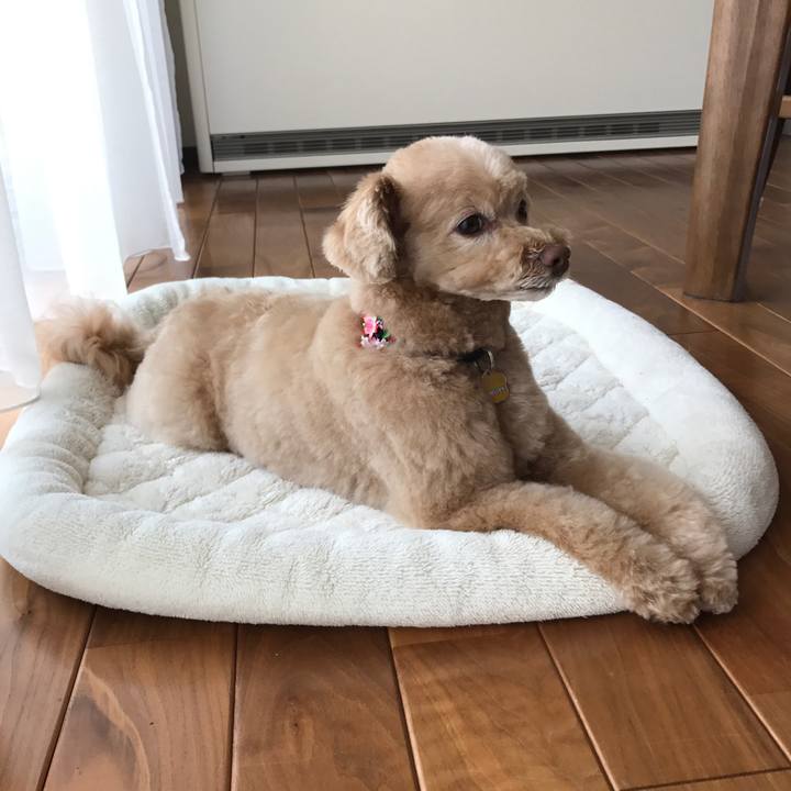 29900218 8b0a 4040 be32 76e3f11c1b8b