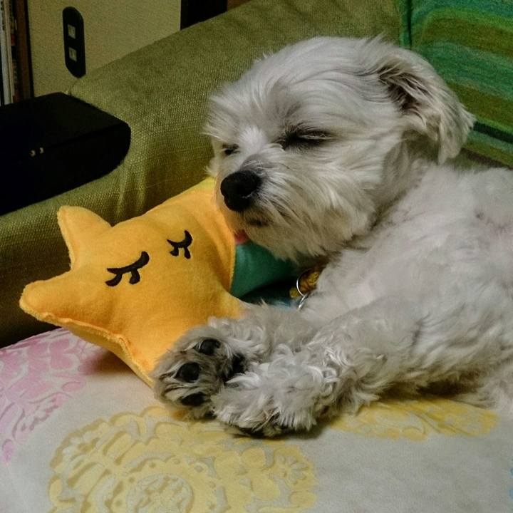 299030b6 f518 47b8 b98c 2162dff0a5e9