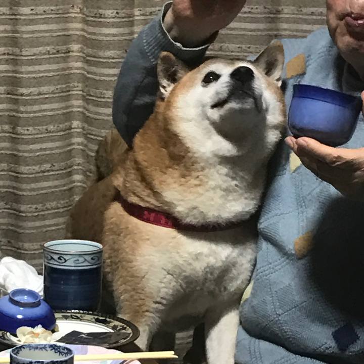 29909077 f4b1 475d b81a 34a2d598557a