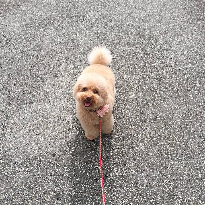 2990e7b7 3020 4082 81b4 9471609f6efe