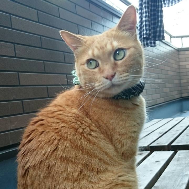 29915d7c 3513 43d5 89dd c0459e3d7154