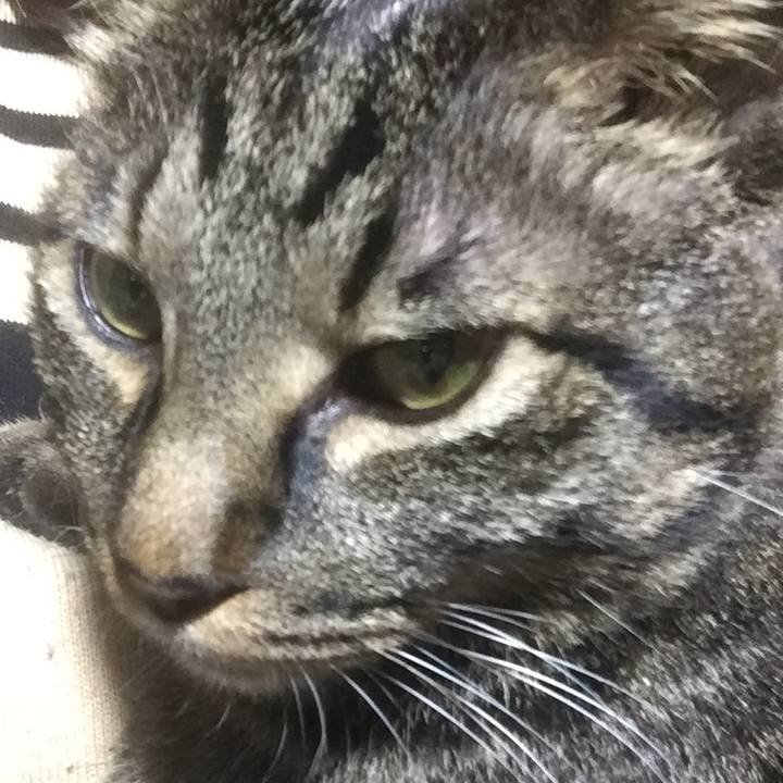 29919c1e c037 4d7e 9916 935808374ca6