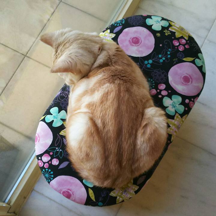 29923205 9237 4542 bb75 7ae00888fd7e