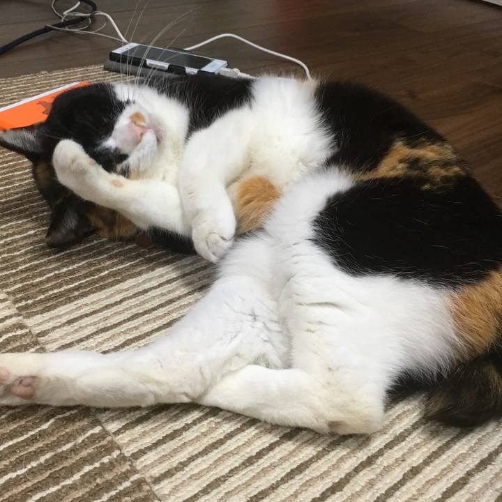 29932404 0011 494c 8435 7613619bd7ea