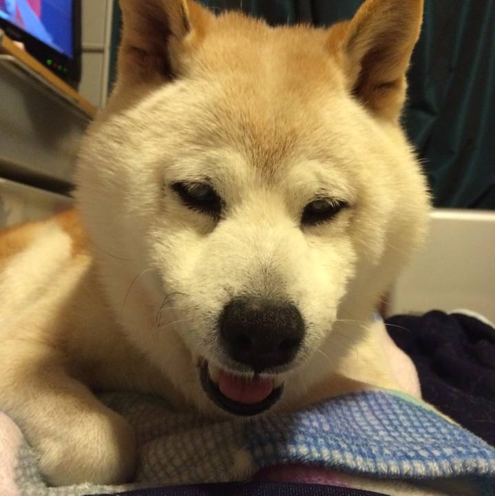 2993c470 e030 453a a2b5 4f121bf090c8