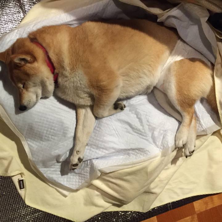 299419fa cf4b 4706 8ec7 aa18b256420f