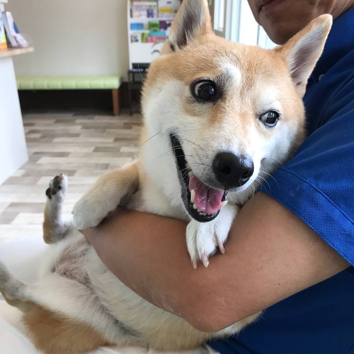 2994ccb7 32dd 4a40 9ca5 a19359632232