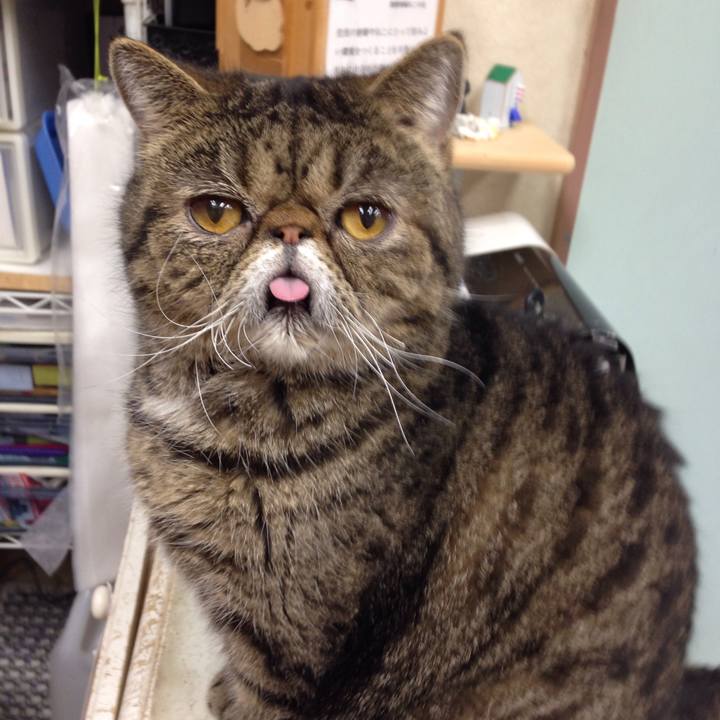 299595b3 f838 4e25 8564 72d84c4a6909