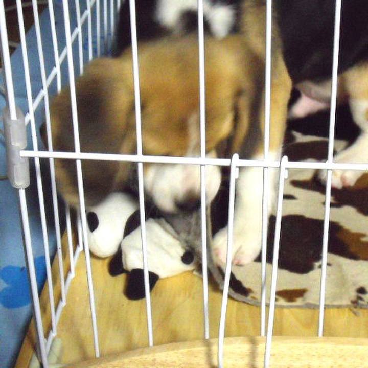 2995f8da 3956 46b5 b608 ff908a66ddf9