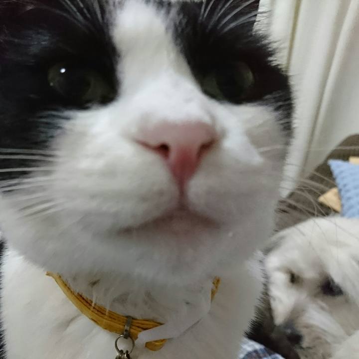 29960f54 1700 416c 8ab5 f0a52ca4e2e0