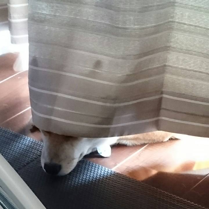 299629f4 cce7 4387 8584 f4b4d69dfd5f