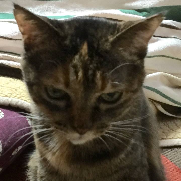 299663b5 2bda 42ee 960c 1752d6e1ff56