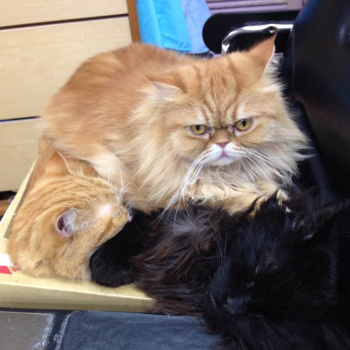 29969493 43dc 4b9c bc72 a33e83ba751e