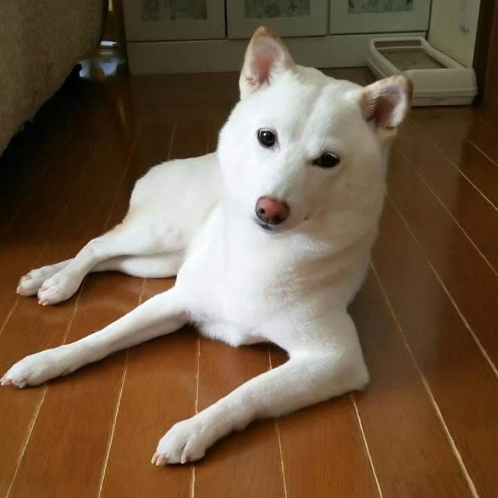 2996afcc 82a3 47fb a211 3c59d274b568