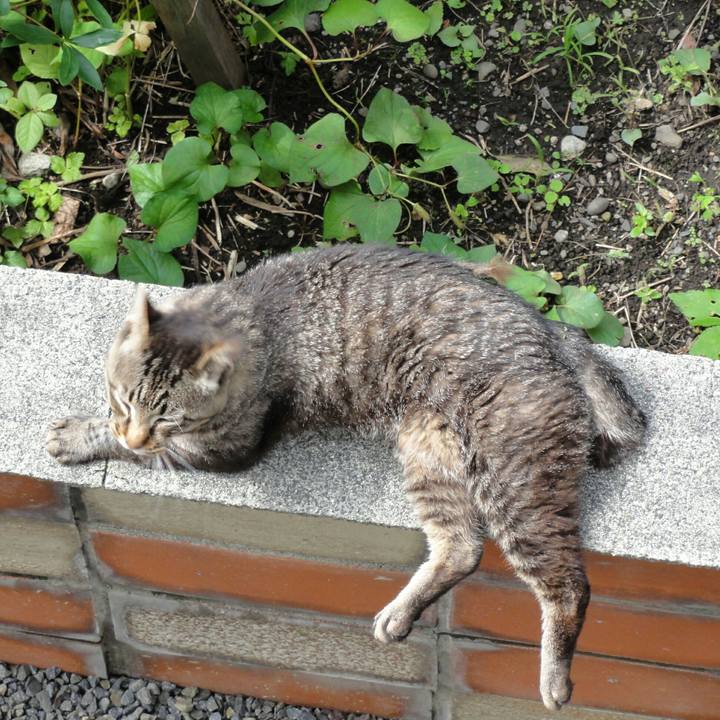 2996fc75 16ce 4891 9394 fe75a3bb3dea