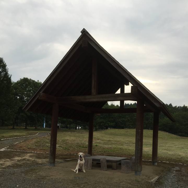 2997242c 2339 45d3 9cb9 b472e1a95552