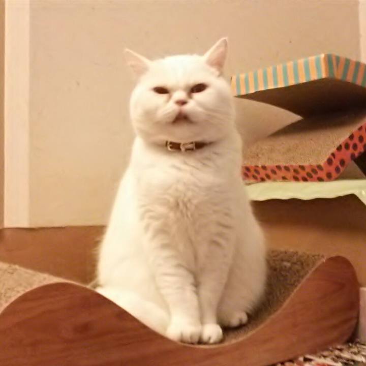 29973db5 f71a 4ecb 9130 030bafd8df86