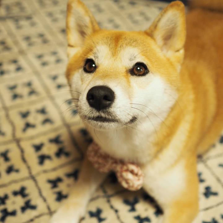 2997e8f2 2367 4da4 98ab 4583d6cb78a1