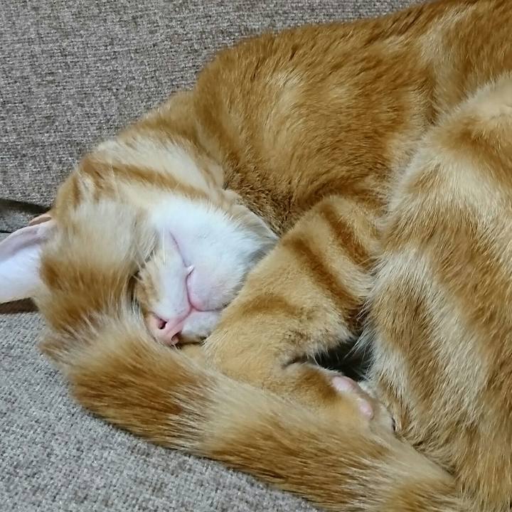 29986ff4 6b3a 40f3 885d 89030447550b