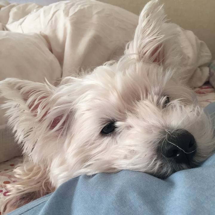 29987e2e 599a 4de4 99ef 1e293288492f