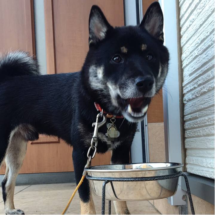 299911de 9ce7 4b05 8824 802abb85fb3d