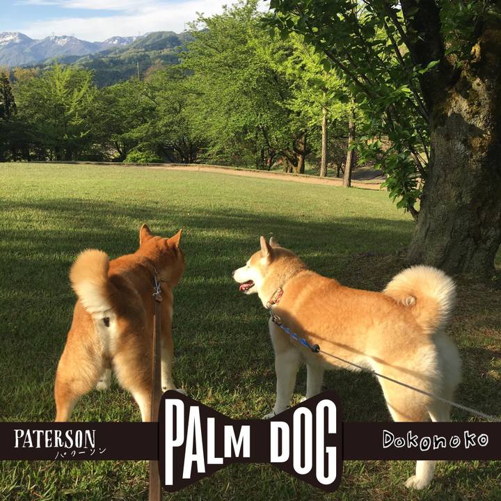 29993adf c39f 4d3a bc62 83cf1e29e95c