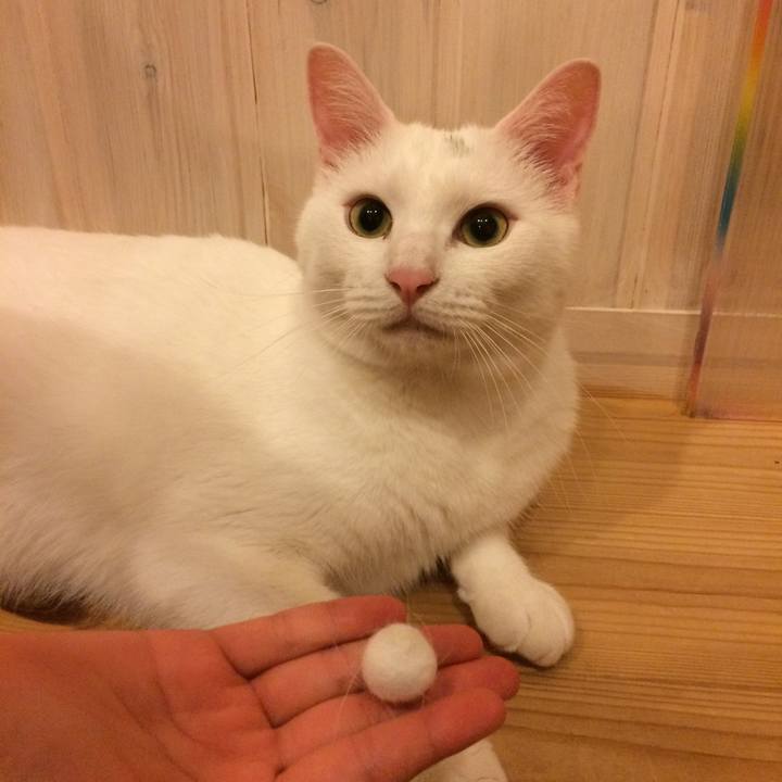 2999c327 9677 4ac8 9caa 6eb116bc2120