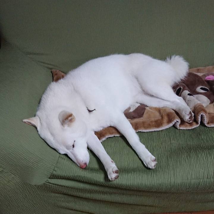 299a2408 a0e0 4b8f b12a aa5fb1698636