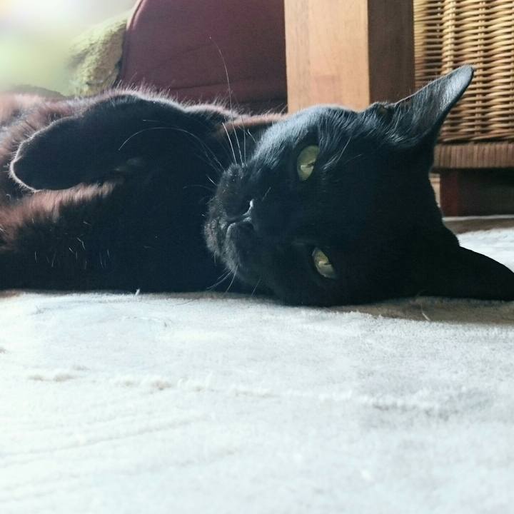 299b6851 1cc0 4cd0 829b 245e43c83d64