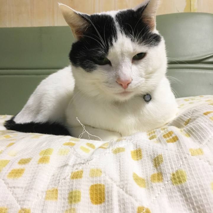 299bd6a5 2029 4eaa 87b2 b905c2a83ba9