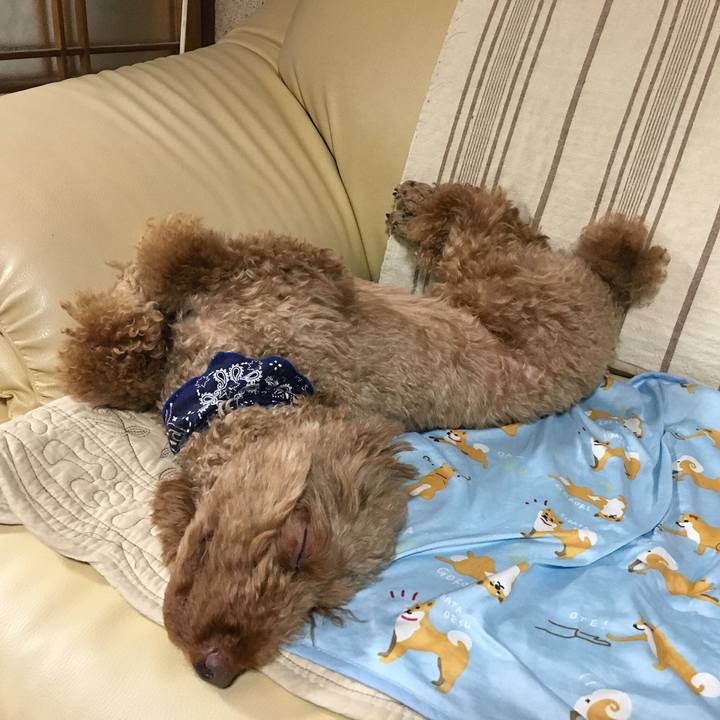 299c2147 acf9 41b0 b43e 3c6072135c5f