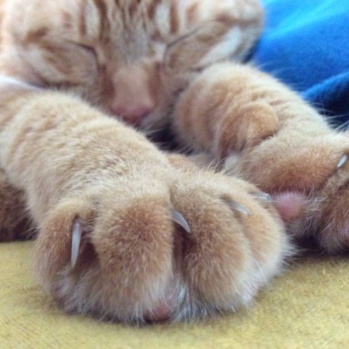 299c5ca1 2599 405f 9cb3 8867a4aacdf1